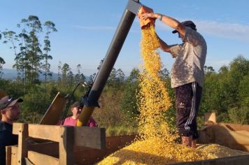 INTENSIFICANDO O APOIO AGRÍCOLA A SECRETARIA DE AGRICULTURA DE NOVO CABRAIS IMPULSIONA O DESENVOLVIMENTO RURAL 