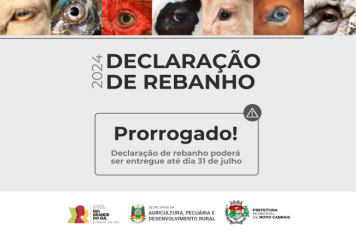 Declaração de rebanho tem prazo prorrogado para 31 de julho 
