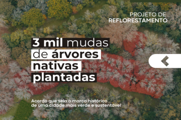 Projeto de reflorestamento promove plantio de três mil árvores nativas 