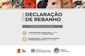 Declaração de Rebanho 2024 tem início antecipado para abril 