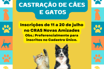  Inscrições Abertas para Castração de Cães e Gatos em Novo Cabrais