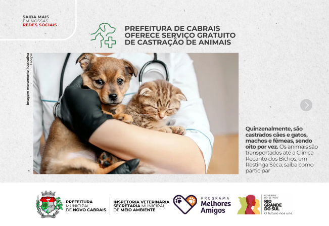 Conheça o serviço gratuito de castração de animais