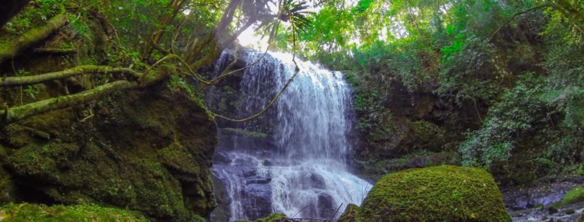 Trilha das Cascatas - Roteiro Turístico Caminhos da Natureza